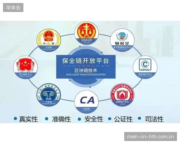 赛事版权运营服务正由单纯版权分发转为依托物理标签的全链路监管模式